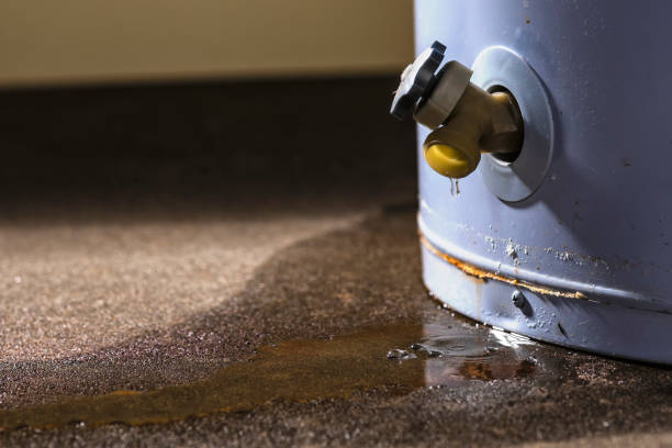 Best Ceiling water damage repair  in Granite Bay, CA