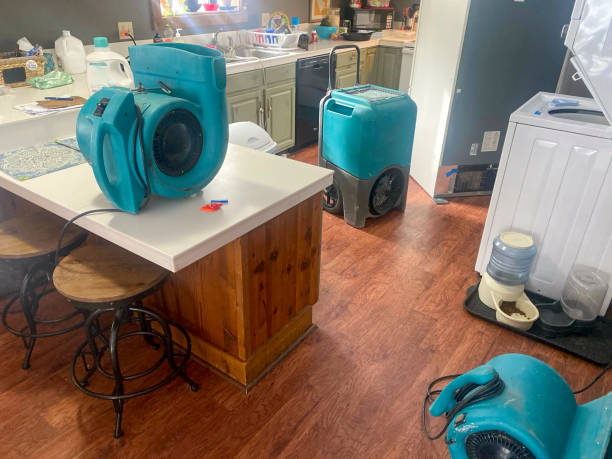 Best Mold removal after water damage  in Granite Bay, CA
