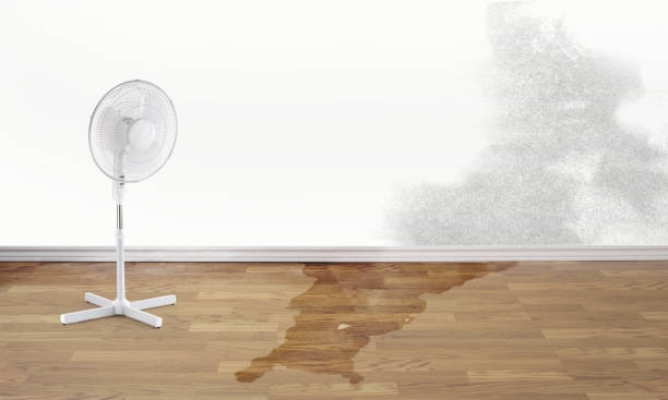 Water damage restoration insurance claims in Granite Bay, CA
