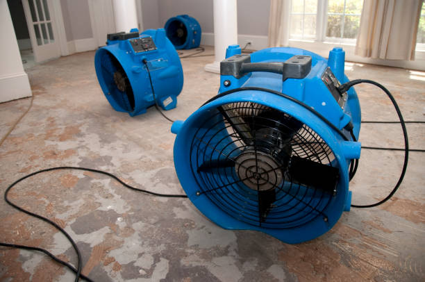 Best Water damage contractors near me  in Granite Bay, CA
