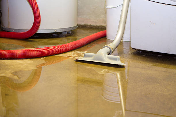 Best Sewage cleanup and water damage restoration  in Granite Bay, CA
