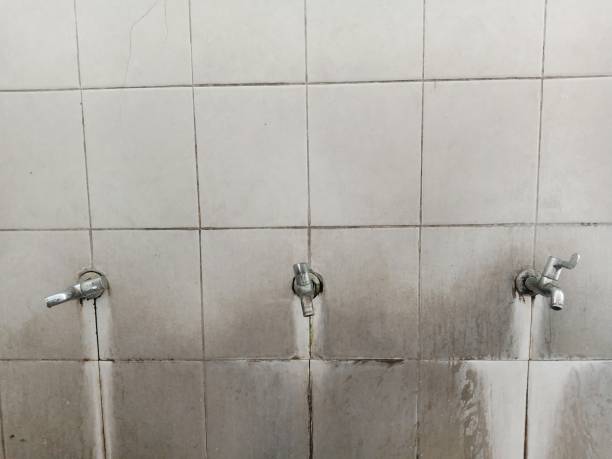 Best Flood restoration services  in Granite Bay, CA