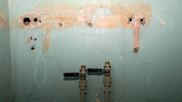 Best 24-hour water damage restoration  in Granite Bay, CA