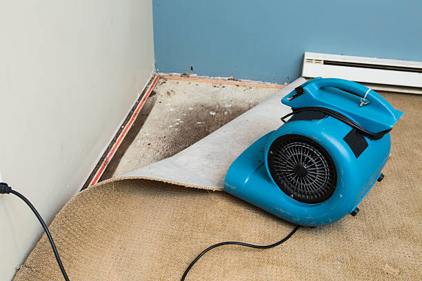 Best Commercial water damage restoration  in Granite Bay, CA